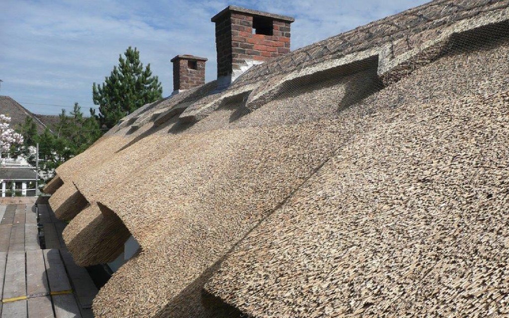 After re-thatching a roof