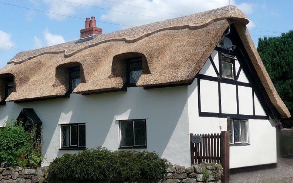 Thatched white cottage