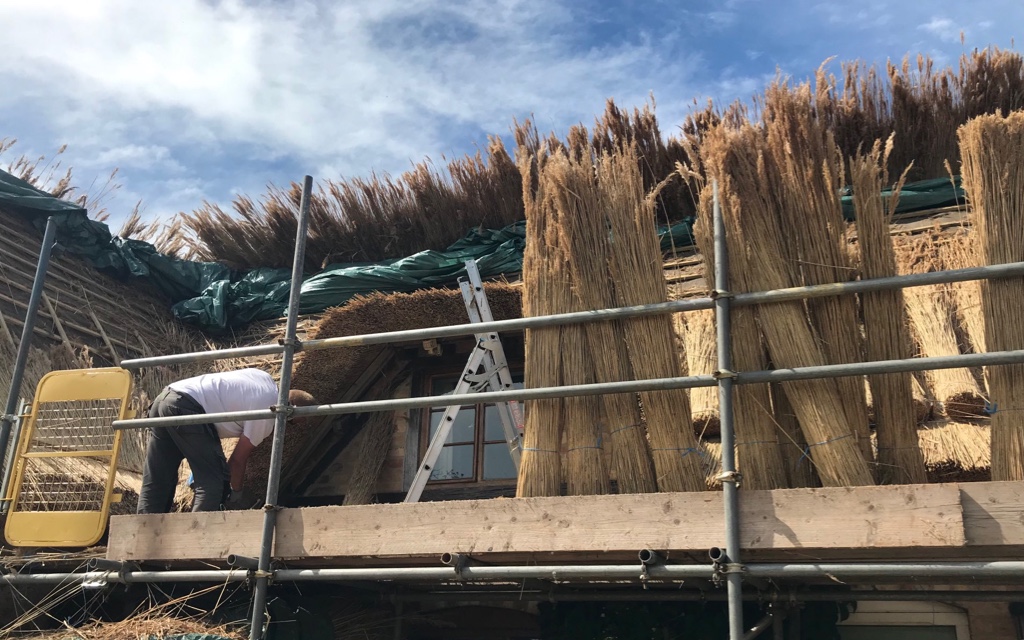 Thatching a window